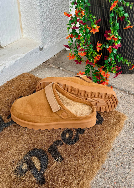 Cozy Cruisers
