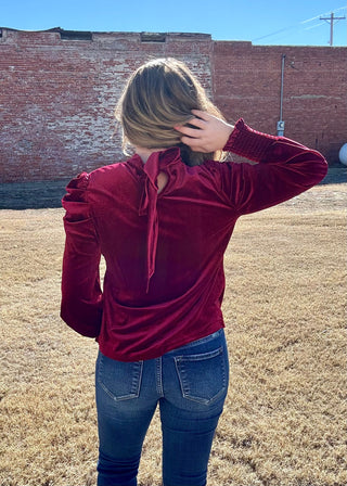 Love Notes Velvet Blouse