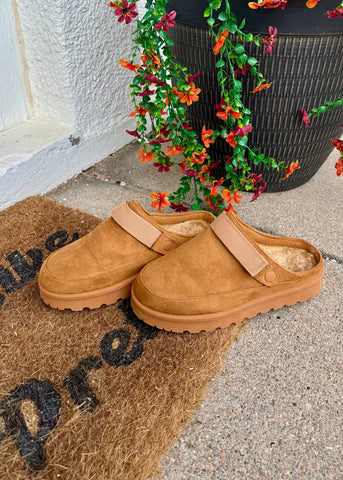 Cozy Cruisers