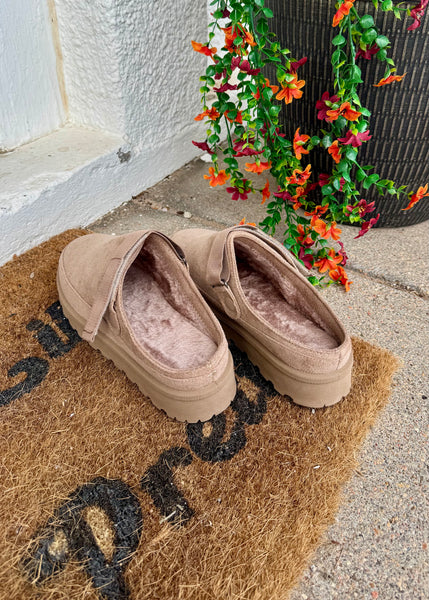 Cozy Cruisers