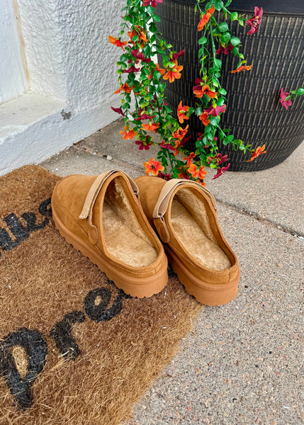 Cozy Cruisers