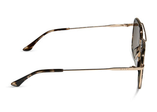 Jordan Espresso Tortoise