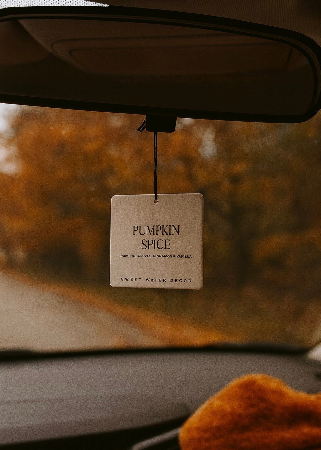 Pumpkin Spice Air Freshener