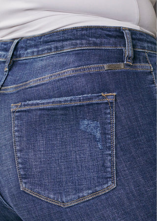 Randi KanCan High Rise Shorts (Plus Size)